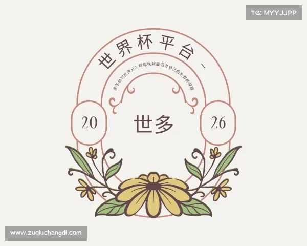 认识世界杯平台 - 多平台对比评分，帮你找到最适合自己的世界杯神器